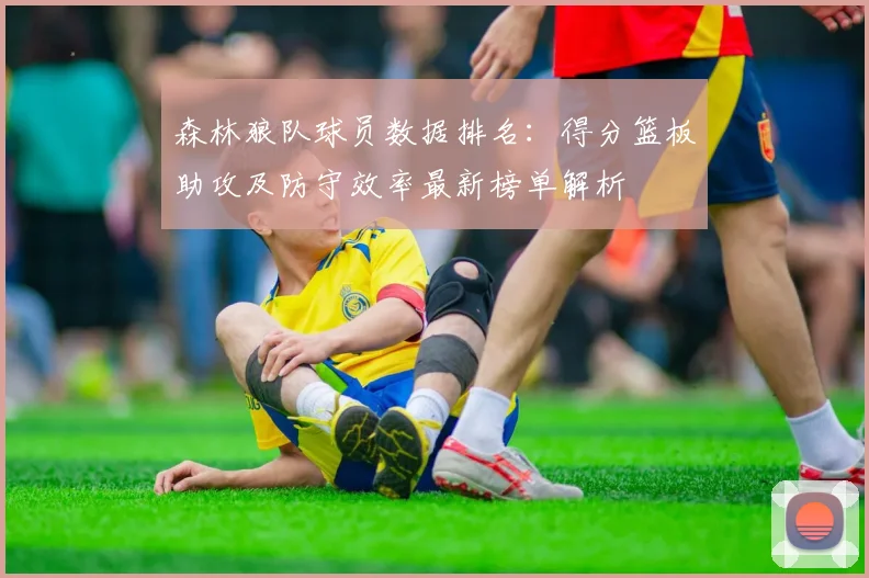 森林狼队球员数据排名：得分篮板助攻及防守效率最新榜单解析