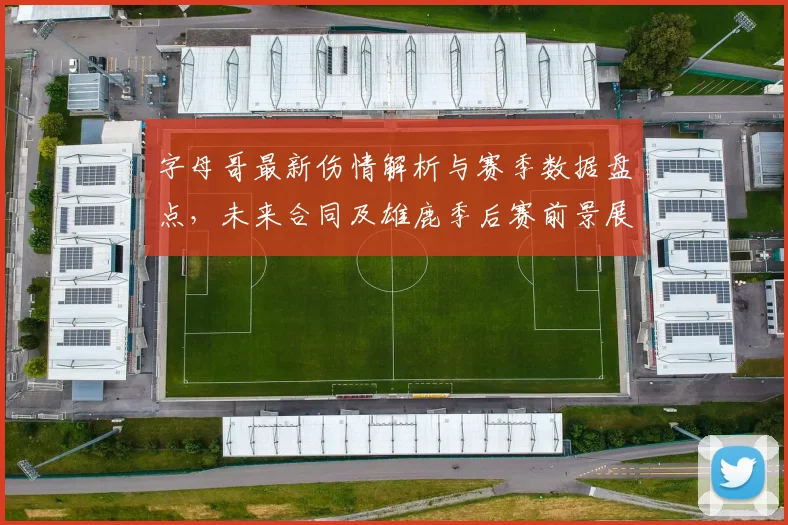 字母哥最新伤情解析与赛季数据盘点，未来合同及雄鹿季后赛前景展望