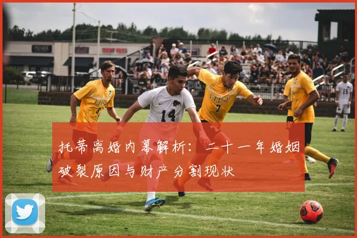 托蒂离婚内幕解析：二十一年婚姻破裂原因与财产分割现状
