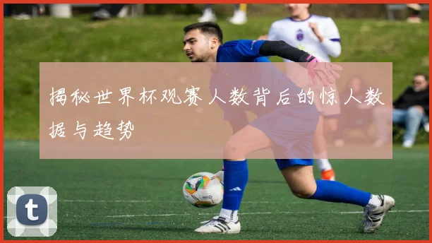 揭秘世界杯观赛人数背后的惊人数据与趋势